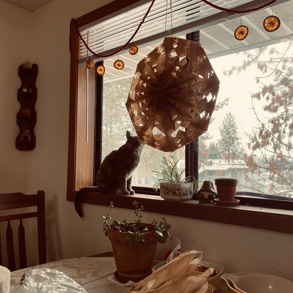 Meet your Posher, Nikki - Picture 1 of 1